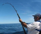 Открыт сезон летней рыбалки 